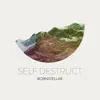 Bornstellar - Self Destruct - EP